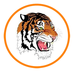 Mansfield Senior Logo