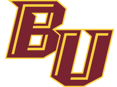Berne Union Logo